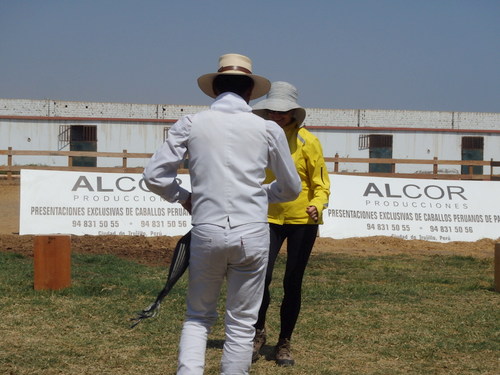 Peruvian Step Horse Show.